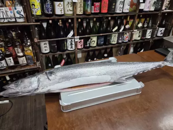 「熱海ミニ横丁、4周年を迎えさらなる進化へ！ 累計来場者数6万人突破！料理100種以上！酒1,000種以上！」の画像