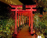 「空庭温泉 OSAKA BAY TOWER 祝・二十歳！二日間限定「ハタチ割」キャンペーン開催！」の画像5