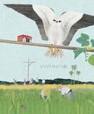 「「里山：SATOYAMA」を問い直す「台湾SATOYAMAイニシアティブ絵本」日本語版出版記念イベントレポート」の画像4