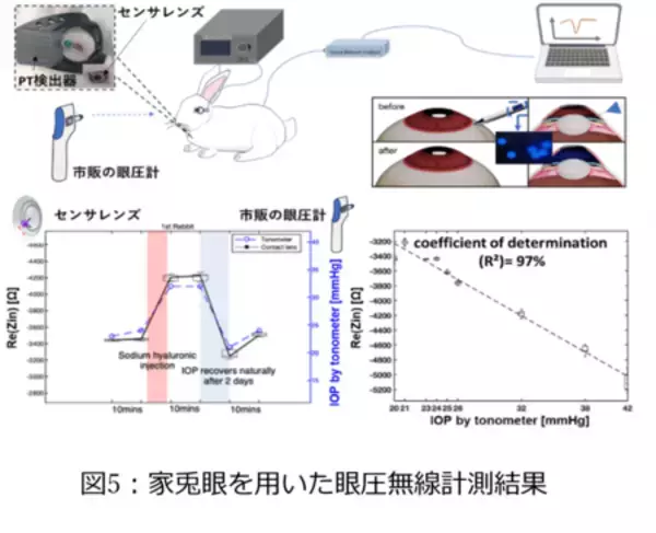「眼圧を高感度に無線計測するスマートコンタクトレンズを開発」の画像