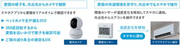 「猫と人の幸せを実現する全戸「猫」特化型賃貸マンション「LEGALAND+猫MIYAKOJIMA」竣工のお知らせ」の画像