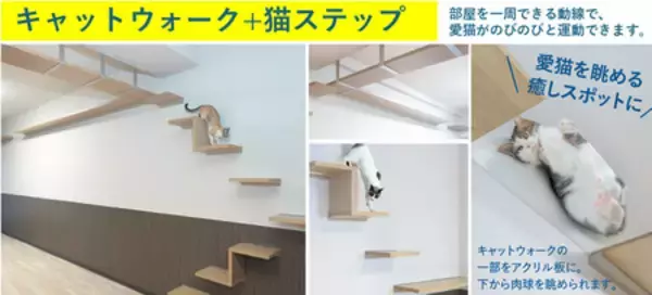 「猫と人の幸せを実現する全戸「猫」特化型賃貸マンション「LEGALAND+猫MIYAKOJIMA」竣工のお知らせ」の画像