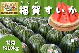 １株１果どりで旨み凝縮！やまぐちブランド登録の「福賀すいか」をＪＡタウン「正直やまぐち」で販売中！