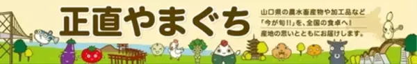 「１株１果どりで旨み凝縮！やまぐちブランド登録の「福賀すいか」をＪＡタウン「正直やまぐち」で販売中！」の画像