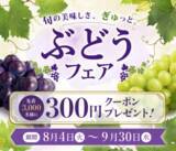 「産地直送通販サイト「ＪＡタウン」で旬のぶどうを楽しめる「ぶどうフェア」を開催！」の画像1
