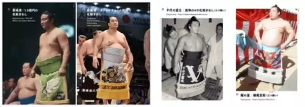 「【大相撲三月場所に合わせフェア開催】衣装デザイン＆アートブック『相撲とデザイン SUMO and DESIGN』」の画像
