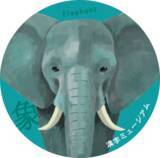 「企画展「ぼくらの漢字動物園」漢字ミュージアムで5月28日開幕」の画像12