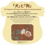「企画展「ぼくらの漢字動物園」漢字ミュージアムで5月28日開幕」の画像4