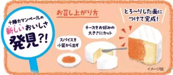 「「明治北海道十勝カマンベール チーズ専用明太子風味スパイス付き」6月1日発売／数量限定・全国」の画像