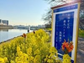 毎年2月14日はセカンドオピニオンを考える日 「セカオピ川柳」をしながわ花海道（品川区勝島運河）に展示