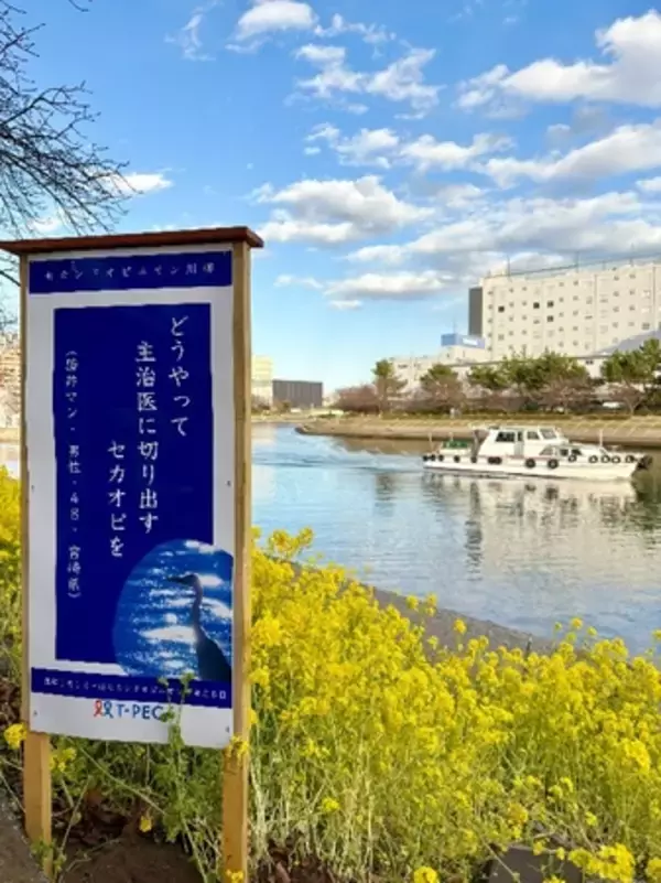 「毎年2月14日はセカンドオピニオンを考える日 「セカオピ川柳」をしながわ花海道（品川区勝島運河）に展示」の画像