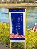 「毎年2月14日はセカンドオピニオンを考える日 「セカオピ川柳」をしながわ花海道（品川区勝島運河）に展示」の画像3