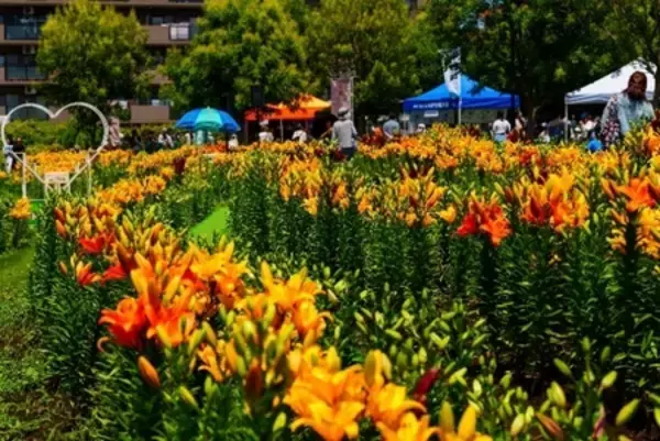 「毎年2月14日はセカンドオピニオンを考える日 「セカオピ川柳」をしながわ花海道（品川区勝島運河）に展示」の画像