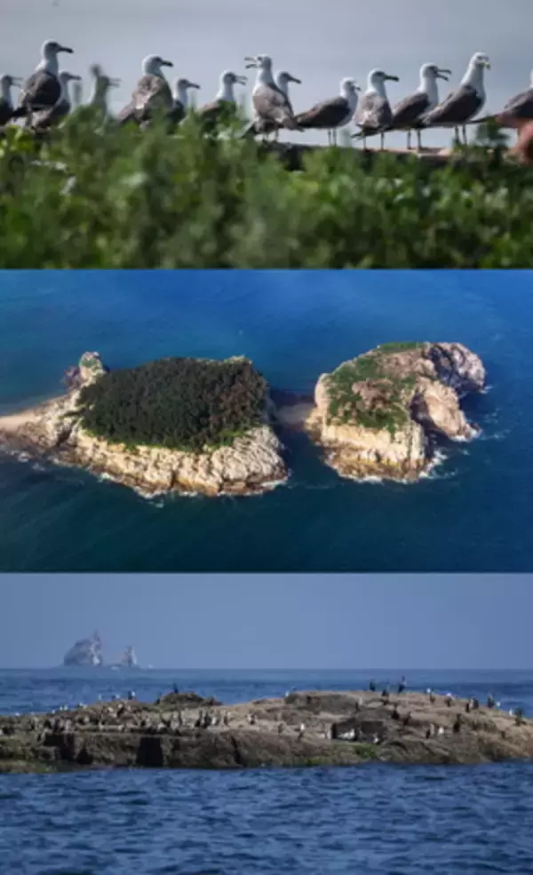 大連・長山群島の渡り鳥生息地が世界自然遺産に登録