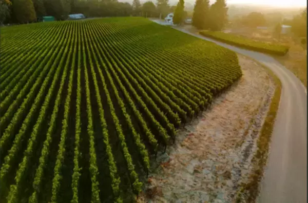 「日本航空（JAL）×KANOSUKE コラボレーション第2弾　空の旅で出会い、鹿児島・日置の蒸溜所へ」の画像