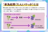 「ＪＡタウン「博多うまかショップ」で規格外の「福岡県産巨峰」を特別価格で販売！」の画像3