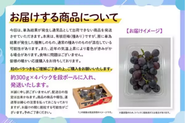 「ＪＡタウン「博多うまかショップ」で規格外の「福岡県産巨峰」を特別価格で販売！」の画像