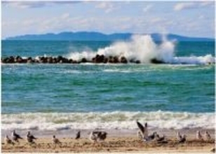 新潟県村上市「さんぽくバイオリージョナル公園写真展」が開催されました。