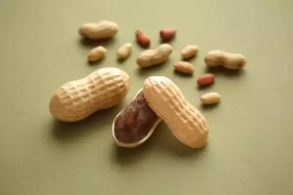 「４大臣賞・観光庁長官賞など優れた観光土産品を選定」の画像