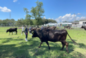 「岐阜大学美濃加茂農場」を応援するクラウドファンディングを開始！