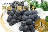「栃木県内の名産地が育む巨峰とシャインマスカットを産地直送通販サイト「ＪＡタウン」で予約販売開始」の画像1