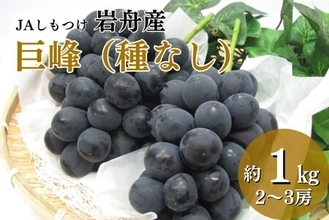 栃木県内の名産地が育む巨峰とシャインマスカットを産地直送通販サイト「ＪＡタウン」で予約販売開始