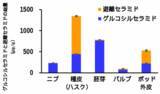 「カカオ豆の種皮（カカオハスク）にセラミドが高濃度含まれていることを発見」の画像2