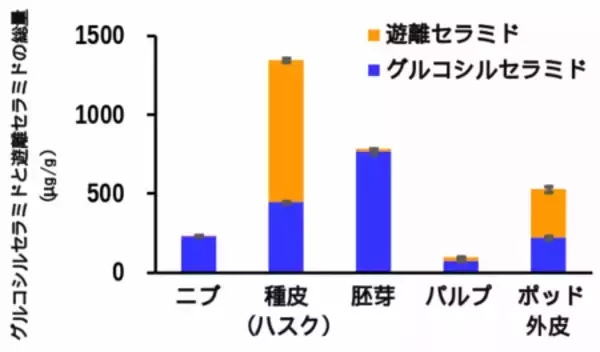 「カカオ豆の種皮（カカオハスク）にセラミドが高濃度含まれていることを発見」の画像