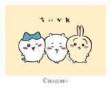 「「明星 チャルメラ ちいかわラーメン とんこつ味」2026年9月14日(月)新発売」の画像3