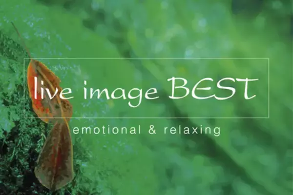 「ライブイマージュ・コンサート」に、 REAL TRAUM、Budo、石井琢磨がオープニングアクトとして出演決定！