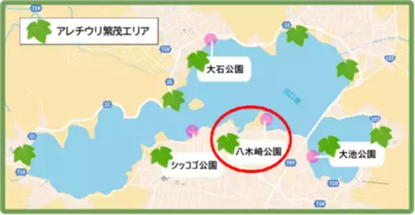 「【富士河口湖町】アレチウリ対策プロジェクト、GCF目標額100万円を達成！ネクストゴール150万円へ挑戦！」の画像