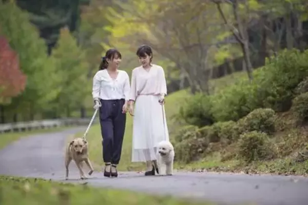 「亀の井ホテル 大和平群 2026年4月11日（土）「わんわんパラダイス 奈良生駒」へリブランド」の画像