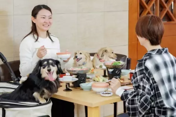 「亀の井ホテル 大和平群 2026年4月11日（土）「わんわんパラダイス 奈良生駒」へリブランド」の画像