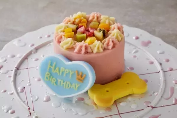 「亀の井ホテル 大和平群 2026年4月11日（土）「わんわんパラダイス 奈良生駒」へリブランド」の画像