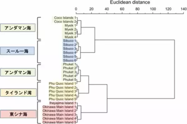 「螺鈿に使用されるヤコウガイの産地同定が可能に」の画像