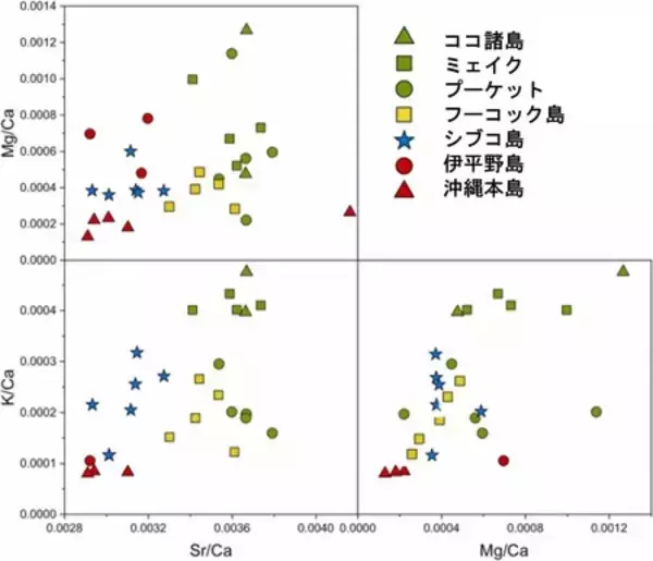 「螺鈿に使用されるヤコウガイの産地同定が可能に」の画像