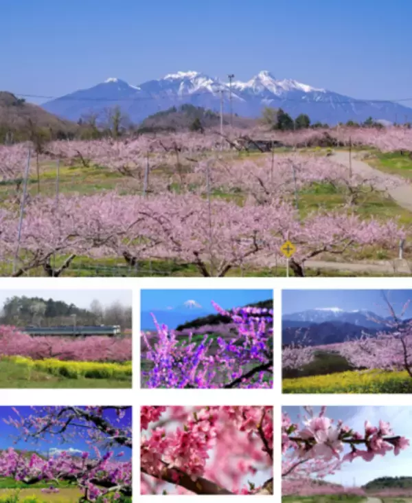 株式会社IDOM様より企業版ふるさと納税として7台の車両の寄附を受納しました