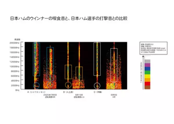 「「美味なるものには音がある」　シャウエッセンⓇ 誕生40年を経て、「パリッ!!」とした食感が科学的に解明」の画像