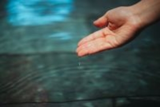 〖企画連載 Vol.9〗あわら色｜写真家 tomosaki が切り取る 情景