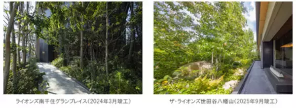 「マンション緑化の効果を検証する共同研究を開始」の画像