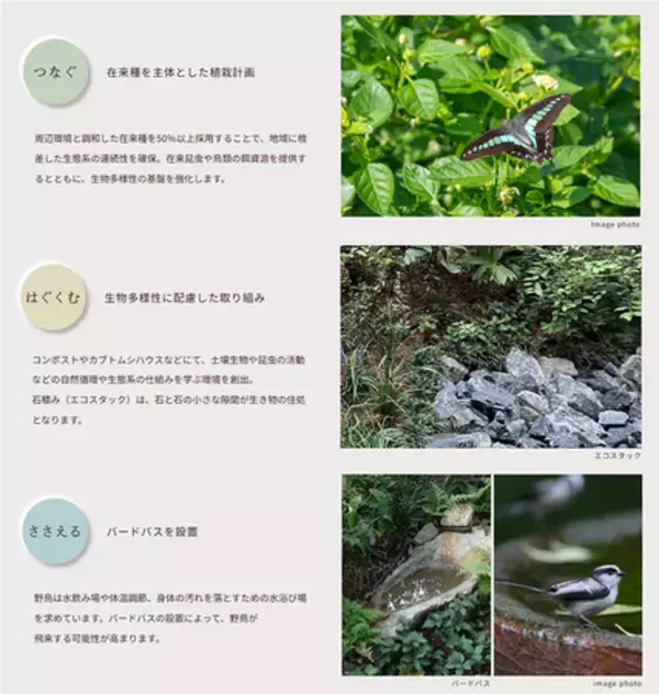 「マンション緑化の効果を検証する共同研究を開始」の画像