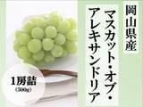 「岡山県が誇る“ぶどうの女王”が節目の年 栽培140周年「マスカット・オブ・アレキサンドリア」特集」の画像2