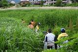 「【富士河口湖町】河口湖の「いのちのゆりかご」を守る！産学官民で特定外来生物アレチウリ29.5kgを防除」の画像2