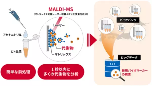 ヒト血漿に含まれる多数の低分子量代謝物を1秒以内で一斉分析