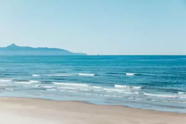 「みずみずしさ花開く。カスクフィニッシュの醍醐味 〈数量限定〉嘉之助シングルモルト2026 LIMITED EDITION」の画像