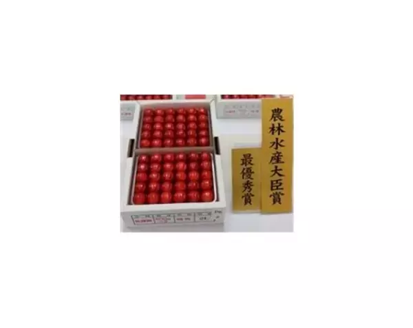 「山形県さくらんぼ品評会受賞商品を限定販売」の画像