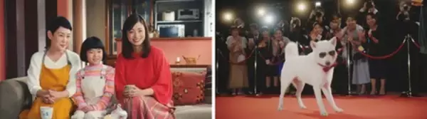 上戸彩さん、永尾柚乃さんがショッピングデート！ スター気取りのお父さんに白戸家もほっこり