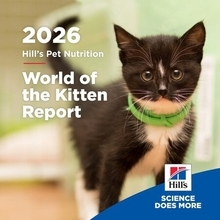 生涯の青写真：Hill's「子猫の世界（World of the Kitten）」レポート、獣医療チームとペットオーナーによる重要な最初の1年への対応を支援