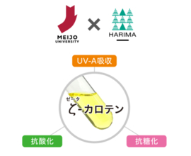 「ζ（ゼータ）‑カロテン」化粧品次世代素材として肌老化３要因に関する基礎データを取得