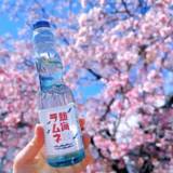 「賞金10万円 『#熱海ラムネ写真コンテスト2026』開催中」の画像2